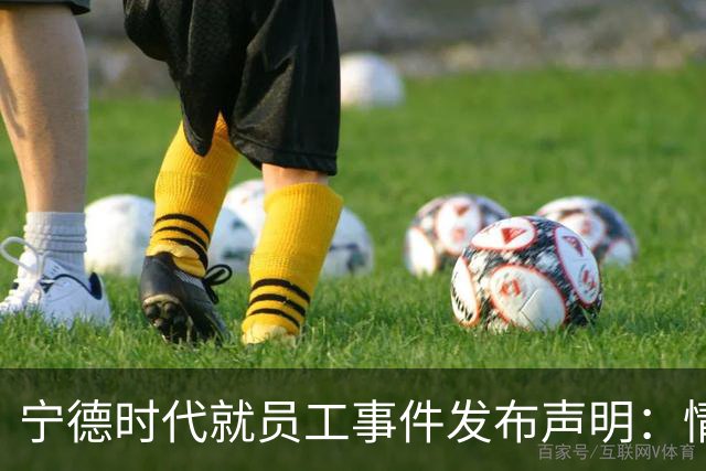 宁德时代就员工事件发布声明：情况并非如传言所述